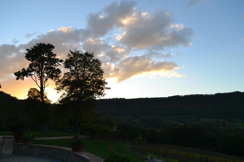 Agriturismo Lapone Orvieto Exterior photo