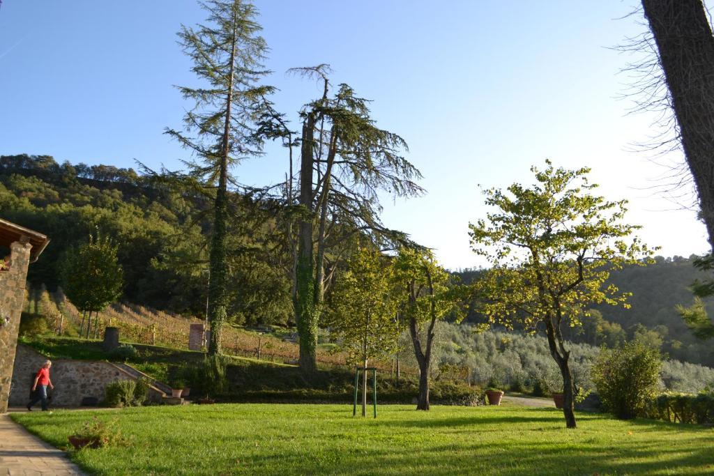 Agriturismo Lapone Orvieto Exterior photo